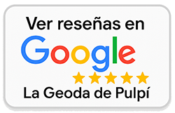 Google Reviews